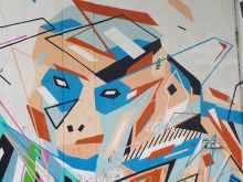 La question migratoire- une dissonance cognitive